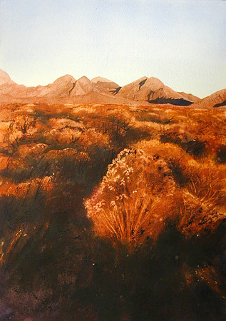 late afternoon glow |watercolor | 20 x 14