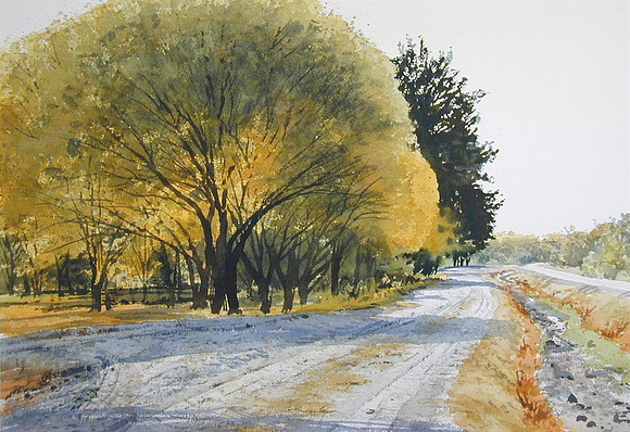willows, mesilla |watercolor | 14 x 20