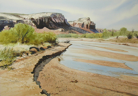 on the cottonwood |watercolor | 14 x 20 SOLD