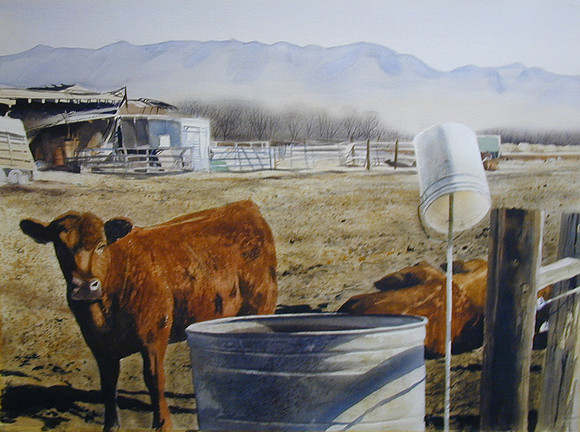 young cow |watercolor | 22 x 30