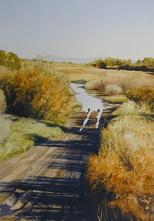 mesilla road |watercolor | 20 x 14