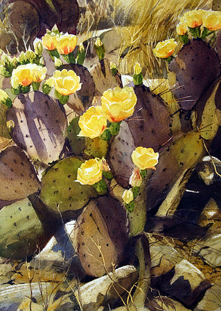 cactus flowers |watercolor | 20 x 14 SOLD