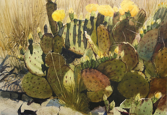cactus flowers |watercolor | 14 x 20 SOLD