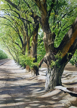 treeline, stahmanns | watercolor | 20 x 14