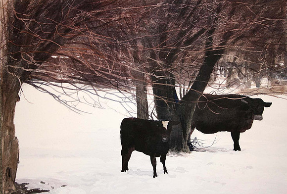 cows in winter |watercolor | 14 x 20 SOLD - GICLEE AVAILABLE
