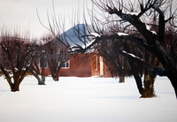 orchard in the snow | watercolor | 14 x 20