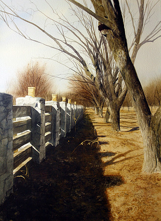 luminarias and pecan trees |watercolor | 30 x 22