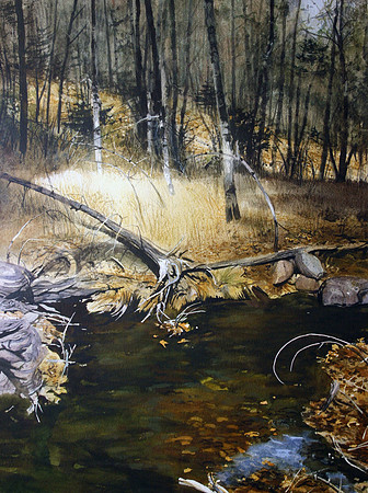 in the gila forest | watercolor | 30 x 22 SOLD