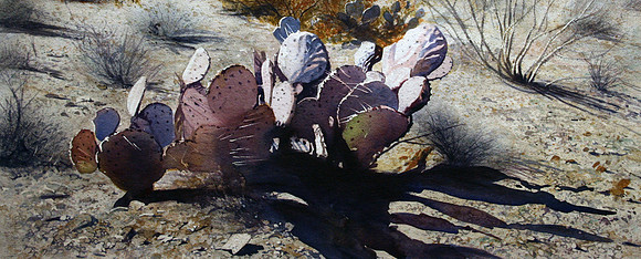 desert view | watercolor | 12.5 x 29 • SOLD