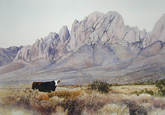 cow in the brush |watercolor | 14 x 20 SOLD