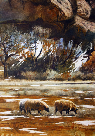 ghost ranch sheep  | watercolor | 20 x 24 • SOLD