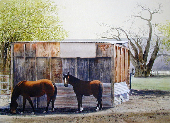 yanke's horses |watercolor | 22 x 30