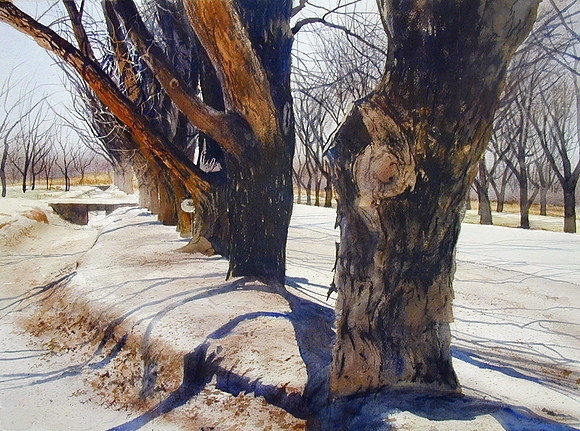 pecan trees |watercolor | 22 x 30