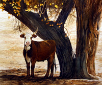 under the tree |watercolor | 14 x 15