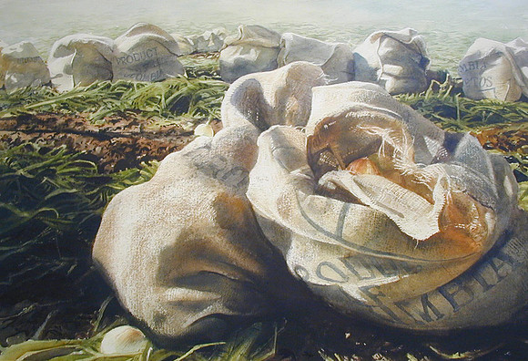 onion bags |watercolor | 28 x 39