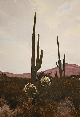 saguaro and cholla |watercolor | 20 x 14