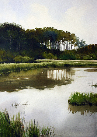 stand of pines | watercolor | 20 x 14