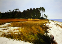dolphin head grasses | watercolor | 14 x 20 SOLD
