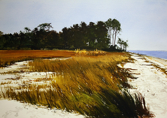 dolphin head grasses | watercolor | 14 x 20 SOLD