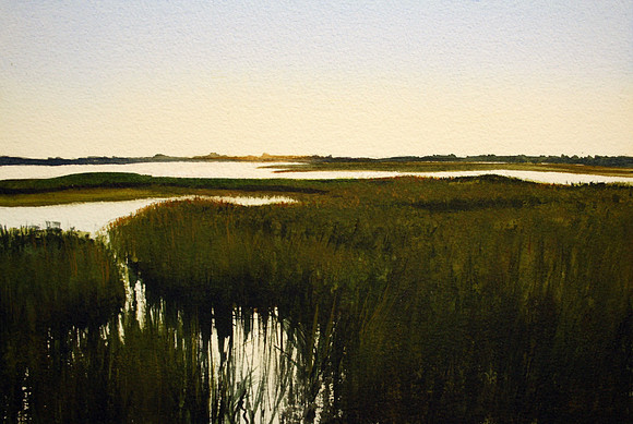 marsh grasses | watercolor | 9 x 12