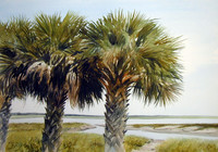three palms | watercolor | 14 x 20