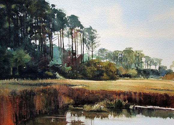 tall pines | watercolor | 9 x 12
