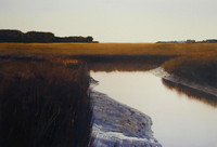 december marsh | watercolor | 14 x 20 SOLD