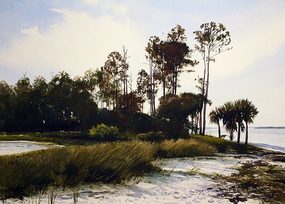 pines by the sound | watercolor | 14 x 20