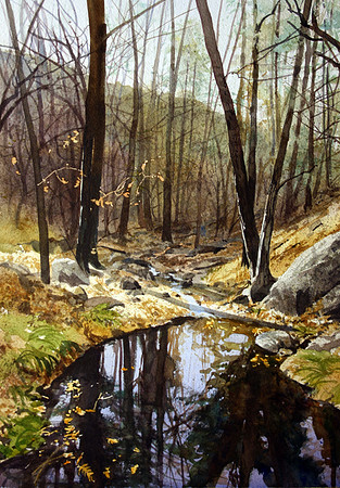 deep in the gila | watercolor | 20 x 14 • SOLD