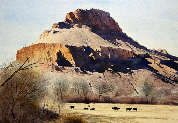 angus and butte |watercolor | 14 x 20 SOLD