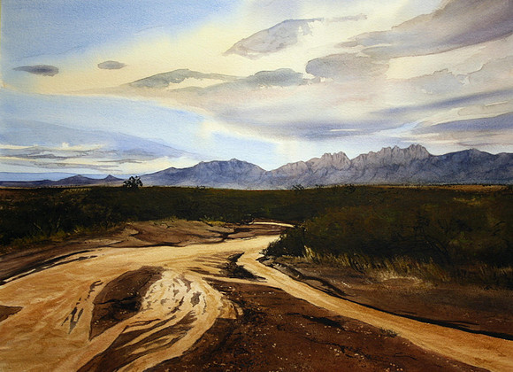 after a june rain |watercolor | 22 x 30