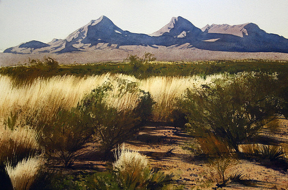 view of the dona anas |watercolor | 14 x 20 SOLD