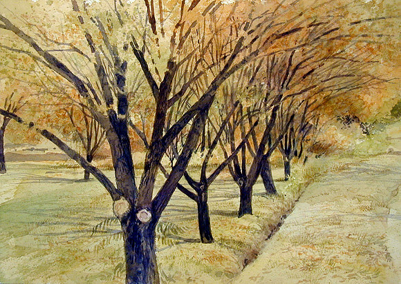 golden canopy |watercolor | 14 x 20 SOLD