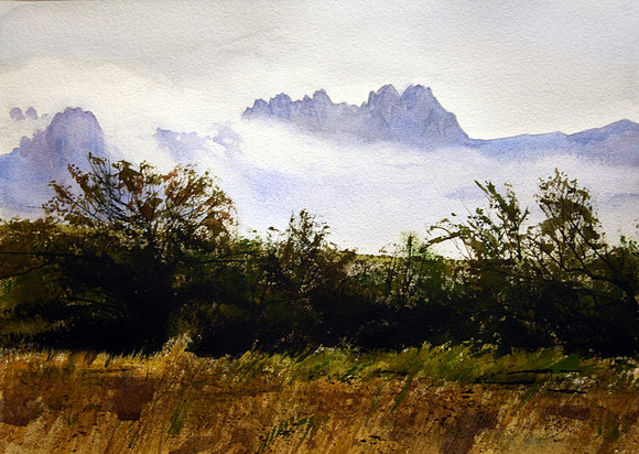 clouds covering the organs | watercolor | 14 x 20 • SOLD