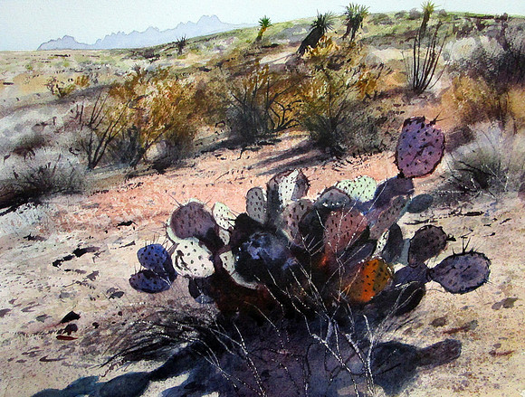 little piece of desert | watercolor | 12 x 16 • SOLD