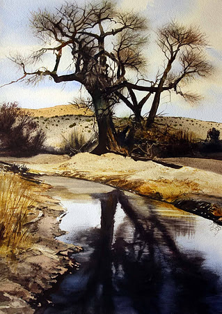cottonwood, monticello | watercolor | 20 x 14 SOLD