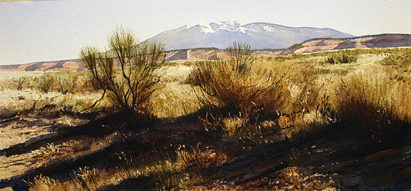 desert shadows |watercolor | 11 x 21 SOLD