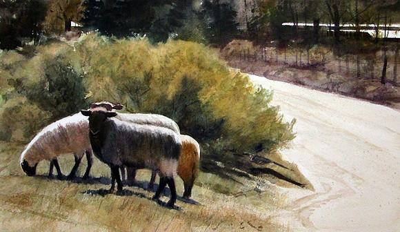 ghost ranch sheep | watercolor | 11 x 17 • SOLD