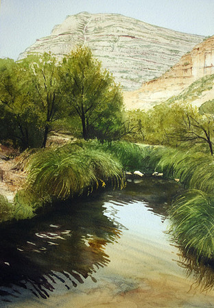 desert oasis |watercolor | 20 x 2014SOLD