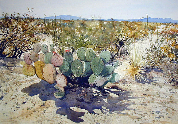 desert light, NM |watercolor | 29 x 40 SOLD