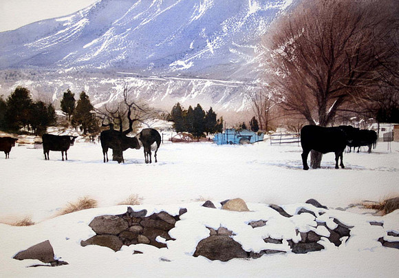 cows in abiquiu |watercolor | 14 x 20