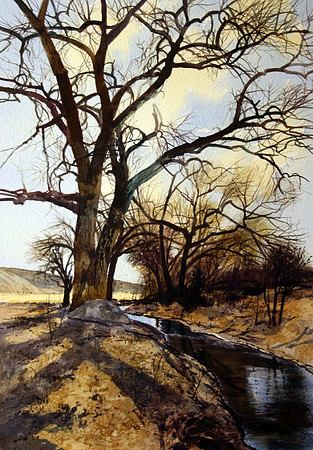 cottonwood tree | watercolor | 20 x 14 SOLD