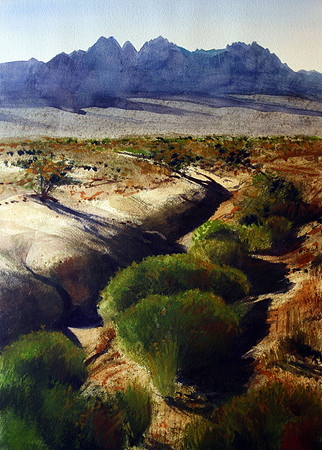 along the arroyo | watercolor | 20 x 14 • SOLD