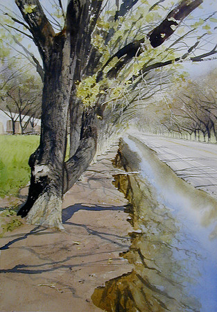 after a rain |watercolor | 20 x 14