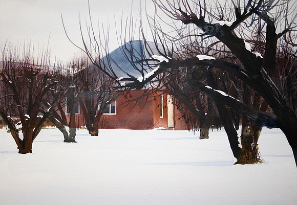 orchard in the snow |watercolor | 14 x 20