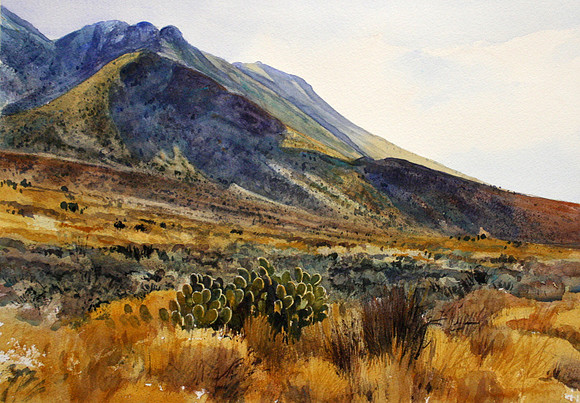 golden grasses, organs| 14 x 20