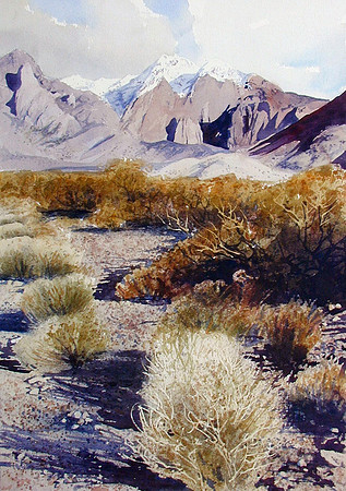 desert brush and mountains |watercolor | 20 x 14