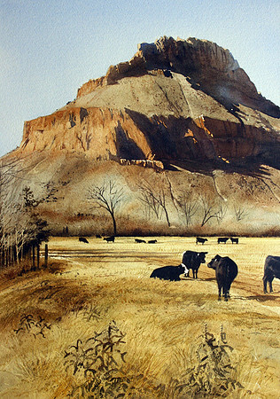 angus in abiquiu |watercolor | 20 x 14 SOLD