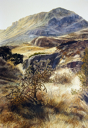 cholla at soledad |watercolor | 20 x 14 SOLD - GICLEE AVAILABLE