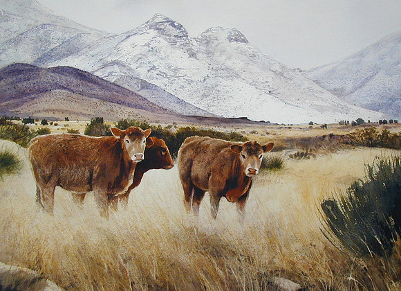cows in the foothills |watercolor | 22 x 30